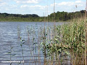 jezioro bytnickie