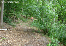 Leśna ścieżka wzdłuż jeziora Winnogórskiego