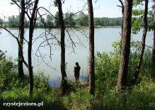 Jezioro Kłosowskie, czerwiec 2015