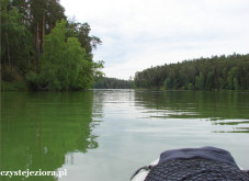 Jezioro Koronowskie położone jest wśród lasów, a liczne przewężenia i zatoczki niezwykle urozmaicają przeprawę
