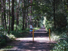 Ścieżka rowerowa biegnąca wzdłuż kanału Ołobok i prowadząca bezpośrednio nad jezioro Niesłysz