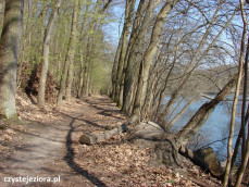 Ścieżka pieszo-rowerowa wzdłuż jeziora Ciecz (Trześniowskiego)