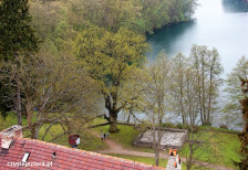 Jezioro Trześniowskie i widoczny fragment parku z przepięknymi drzewami - te drzewa trzeba koniecznie zobaczyć z bliska