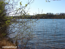 Jezioro Krzemno, środkowa część jeziora