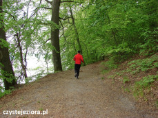 Biegacz na trasie pieszo - rowerowej przy jeziorze Łagowskim. 1 maja 2019