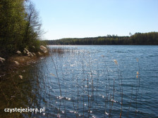 Jezioro Krzemno, kwiecień 2019
