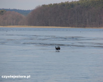 Łyski na skutym lodem jeziorze, 10.03.2018