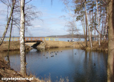 W tym miejscu kanał Ołobok wpada do jeziora Niesłysz. Dobry punkt do obserwacji wodnego ptactwa i ryb