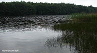 Jezioro Świdno i Sarcze - widoczek