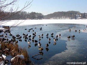 jezioro łagowskie zdjęcia zimowe