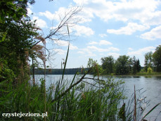 Jezioro Winnogórskie