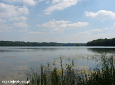 Jezioro Ławickie, czerwiec 2015