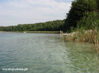 Jezioro Budzisławskie, wyjątkowa przejrzystość wody