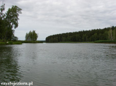 Część jeziora Lipkusz (wchodzi w skład jeziora Koronowskiego)