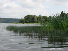 Jezioro Bachotek - Wyspa Skarbów - widok na stronę wschodnią