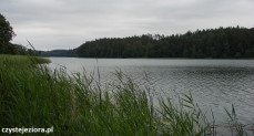 Jezioro Ciche, lipiec 2016