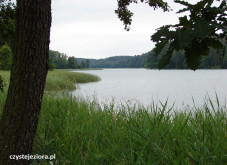 Jezioro Ciche na Pojezierzu Brodnickim