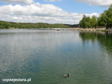 Jezioro Reczynek, czerwiec 2021