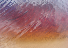 Kolor wody z bliska, Park Mużakowa, jezioro Afryka