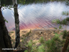 Park Mużakowa, czerwony kolor wody najlepiej widoczny przy brzegu