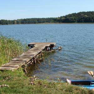 Odkrywanie bioróżnorodności: ekoturystyka nad jeziorami w Polsce